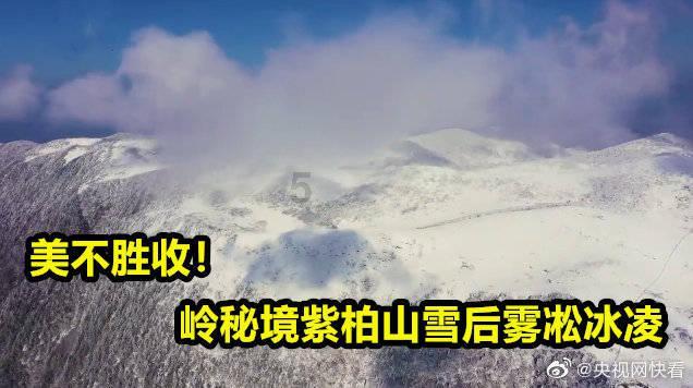 精灵灯塔逃生